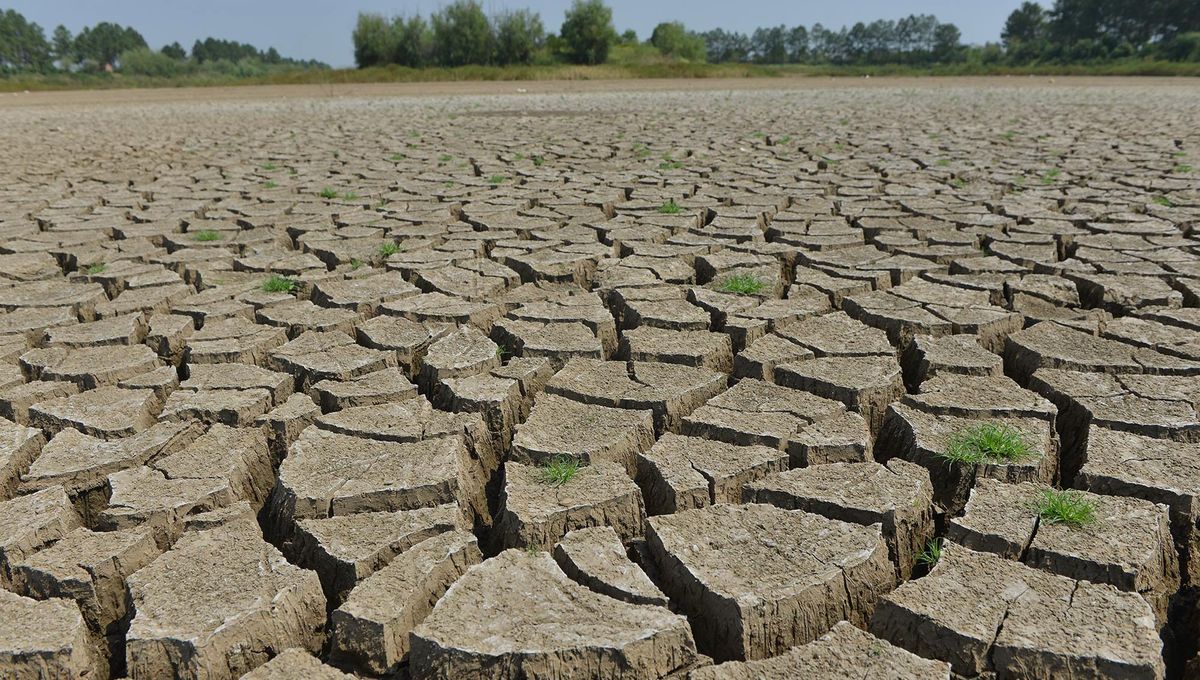 La France réitère son record de sécheresse
