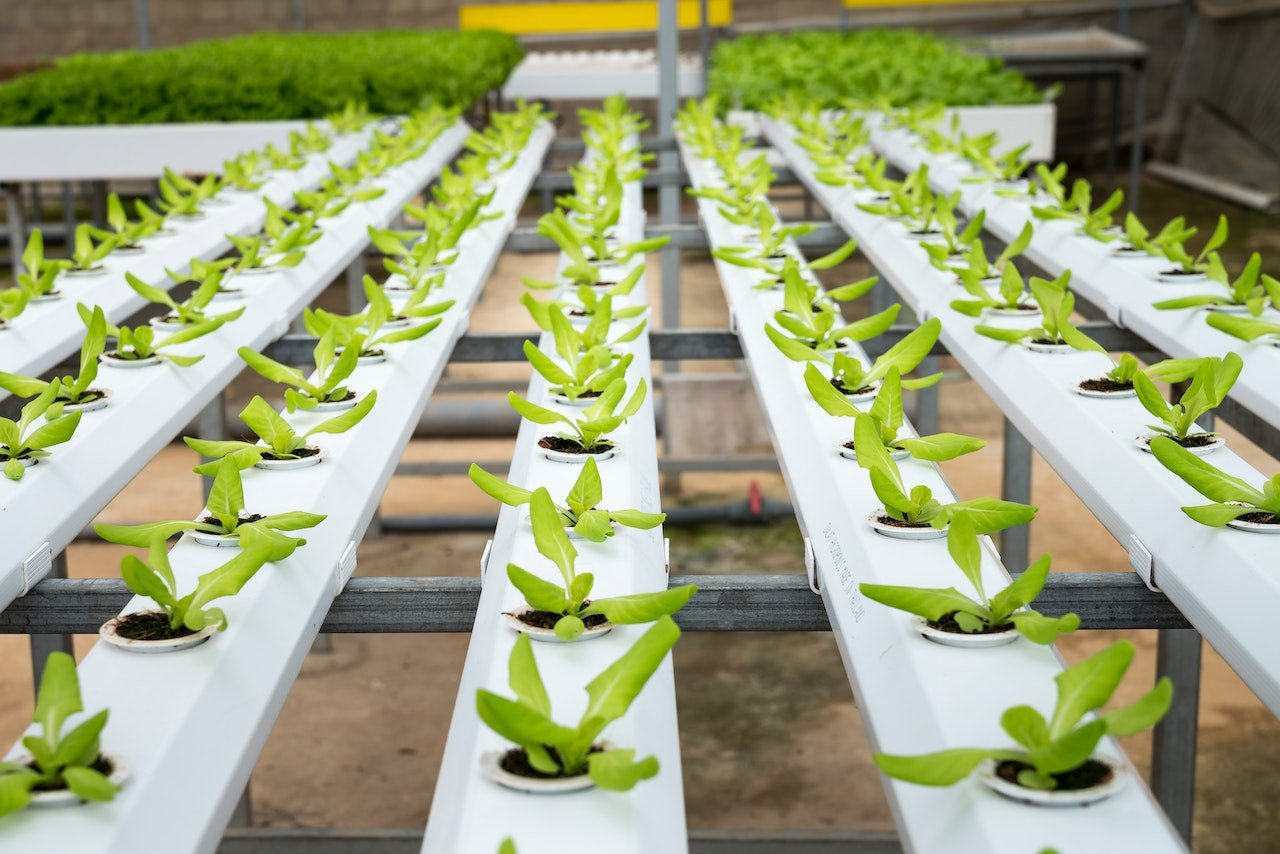 Agroécologie : la solution aux défis climatiques de l’agriculture française ?