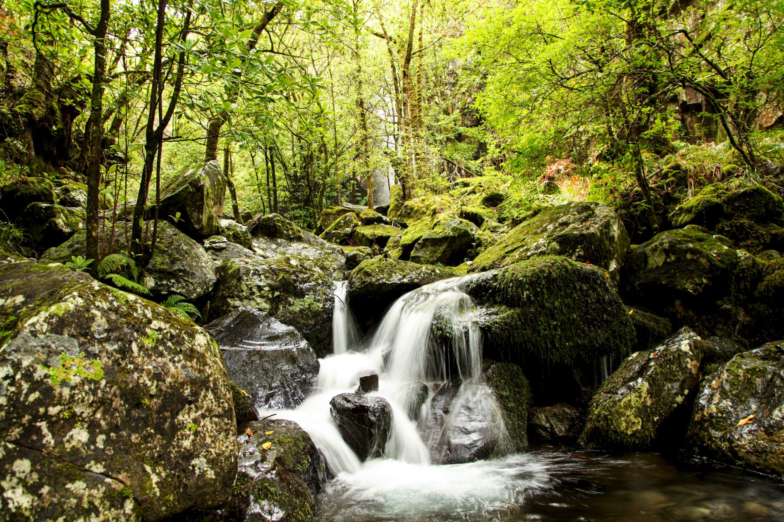 Dépassement de la limite planétaire du cycle de l’eau douce