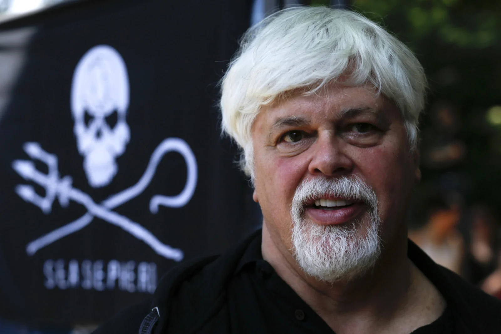 paul watson