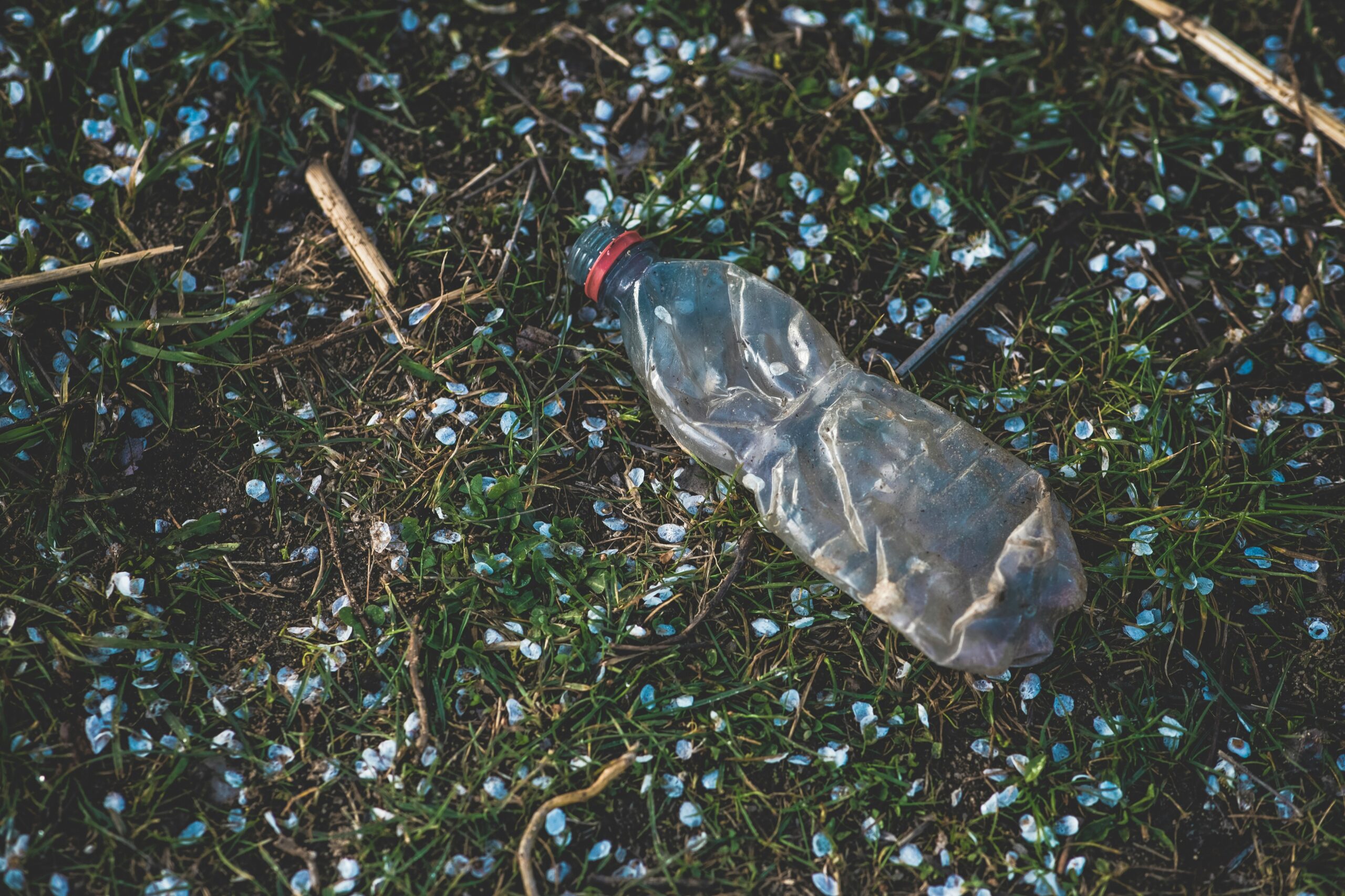 bouteille plastique jetée en pleine nature