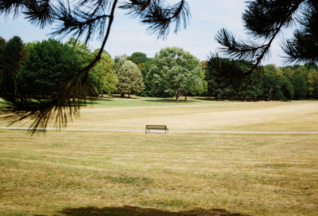 parc public pendant une canicule